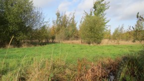 Gimswood Autumn 2014